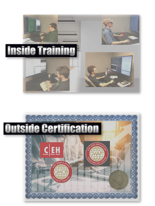 Penetration testers in training